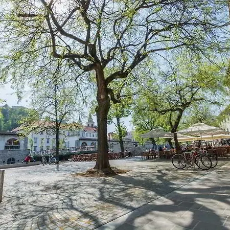 アパート Old Town First Floor