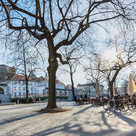 Gasthuis Old Town 3*