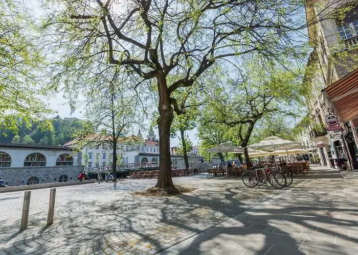 Lejlighed Old Town First Floor